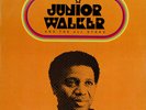 Junior Walker & The All Stars Anthology UK 2-LP vinyl record (Double Album)