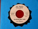 ROMANS  YOU ARE MY ONLY LOVE  THE CAT'S MEOW  NEAR MINT    DOO WOP 45