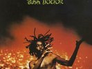 Peter Tosh Bush Doctor UK vinyl LP album record CUN39109 ROLLING STONES 1978