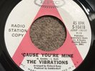 Rare Northern Soul record The Vibrations - Cause You’re Mine EPIC Demo ORIGINAL