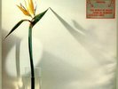 From A To B New Musik UK vinyl LP album record GTLP041 GTO 1980