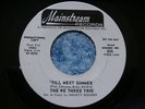 RARE 1965 SOUL R&B GARAGE PROMO - THE WE THREE TRIO - HEY , LITTLE WOMAN 45 orig