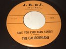 The Californians 45 Jim Ferguson of Avengers VI Private Garage Rock Psych LISTEN