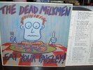 Original 1986 The Dead Milkmen Eat Your Paisley LP Restless Records