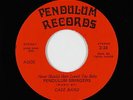 Crossover Soul 45 - Case Band - Never Should Have Loved You - Pendulum VG++ mp3