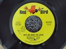 RARE NORTHERN SOUL-RED BIRD 10031-RODDIE JOY-HE'S SO EASY TO LOVE-45-(NM-)