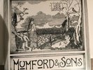 Mumford and Sons - Love Your Ground 10