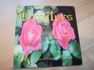 Broilers Schenk mir eine Blume Single Oi Skinhead Hooligan 7inch Vinyl RAR
