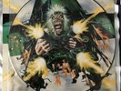 Iron maiden vinyl lp No Prayer For The Dying Picture Disc