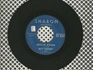 Roy Wright I'm Going Crazy Once In Awhile Sharon 45 Record Chicago Guitar Blues