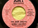 (AMY 981) Morris Chestnut - Too Darn Soulful & You Don't Love Me Anymore *RARE*