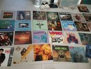 27x LP Rock, Warlock, molly hatchet, morörhead, AC DC, Alice Cooper, Jackson usw