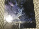 Poison The Well ?- The Opposite Of December Good Life Recordings - GL 052 Vinyl
