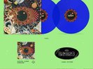 Beast Coast Escape from New York Limited Edition Blue Vinyl Flatbush Zombies NEW