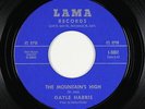 Northern Soul 45 - Gayle Harris - The Mountain's High - Lama - VG++ mp3 unknown?