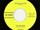 Northern Soul/Garage 45 - Avengers - No Wonder - Mr. Genius - VG++ mp3
