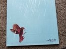 Real Friends - Composure Dbl Mint & Sea Blue W/ Bone Splatter /1000