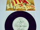 TISM -The History Of Western Civilisation - Rare Australian Pic Slv 45RPM. EX