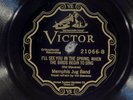 78 RPM -- Memphis Jug Band, Victor 21066, EE+ Blues