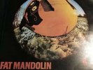 Johnny Young Mint Blues Lp Fat Mandolin