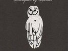 TRAMPLED BY TURTLES-PALOMINO VINYL LP NEW