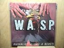 WASP - Animal 12  NEW   1984   Colored Vinyl  RED  - MFN 12 Kut 109   France