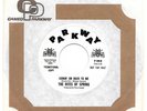 RITES OF SPRING Comin' On Back To Me PARKWAY PROMO NM GARAGE 45