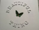 The stone roses Beautiful thing Vinyl Numbered 5517
