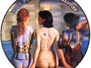 Pink Floyd Vinyl LP Selten Beauties - Picture Disc