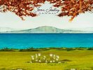 Joan Shelley Like River Loves The Sea Vinyl LP Record w/ bonnie prince billy NEW