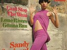Sandy Sarjeant  Can`t Stop The Wandt