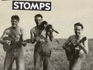 Cajun Stomps - Volume 2 - Various Artists LP - 50s & 60s Roots Cajun - NEW VINYL