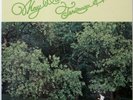 TERUMASA HINO / JOHN SCOFIELD / RON CARTER / MAY DANCE / FLYING DISK JAPAN