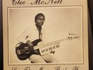 Cleo McNett Let the Music Guide You Moderen Soul Texas Giant Dj Shadow