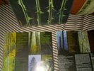 Type o Negative - October Rust 2LP RARE first press