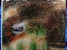 Pink Floyd - Saucerful Of Secrets Vinyl LP 1st US Press 1968 Tower ST-5131 EX-