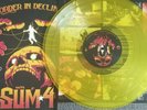 Sum 41 Order In Decline Signed Yellow Vinyl  LP dunt on cover and sig smudged