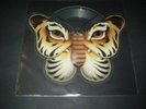 Talk Talk - Shaped Picture Disc 
