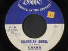 CHANO & RIALTOS: Don't Forget To Write / Guardian Angel 45 (sm tol)