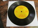 DANDELION WINE s/t EP private san francisco psych VERY RARE