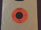 RARE NJ Garage Rock (45) THE VEE JAYS 