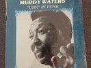 Muddy Waters 