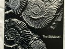 THE SUNDAYS Reading, Writing And Arithmetic ROUGH TRADE PICTURE DISC LP PRESSING