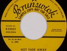 CRICKETS: Oh Boy  / Not Fade Away US Brunswick Buddy Holly Promo 45 Hear