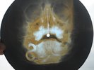 STEPPENWOLF - BORN TO BE WILD - UNIQUE USSR GEORGIAN X-RAY ROENTGEN SKULL RECORD