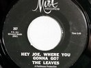 HEAR IT 60's 45 rpm record The Leaves 