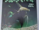 Fabio Fabor - Aquarium - Hard Records - Original Library LP - Italy / sorgini