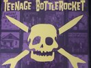 TEENAGE BOTTLEROCKET Stealing The Covers Purple/Yellow Swirl Color Vinyl 826made