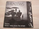 Single / Meadows ?– Future  / AUSTRIA -  Garage Rock, Beat / TOP RARITÄT /