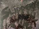Slippery When Wet [LP] by Bon Jovi (180g Vinyl, Nov-2016, Island (Label))